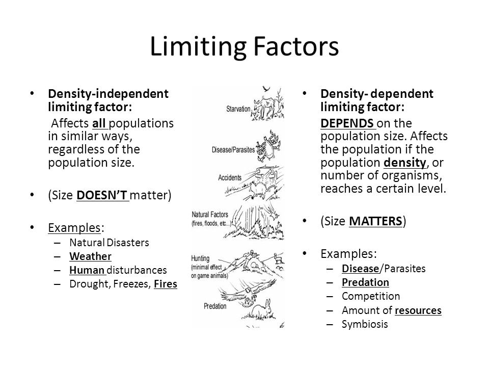 density dependent factors